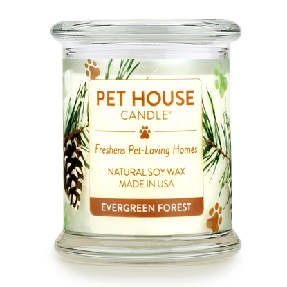 Picture of Pethouse Evergreen Forest Candle